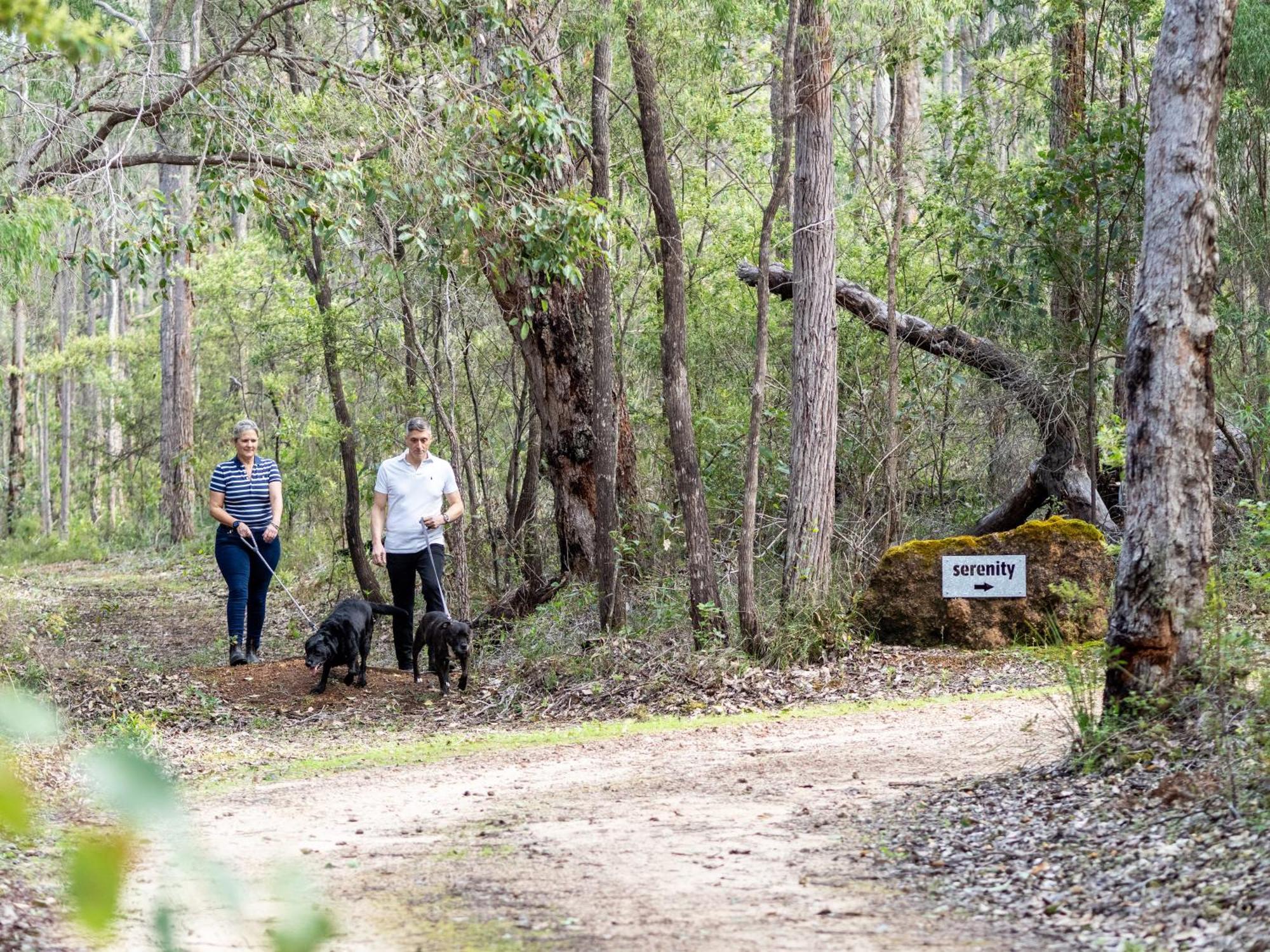 Jarrah Grove Forest Retreat - Adults Only Luxury Chalet Rosa Glen ภายนอก รูปภาพ
